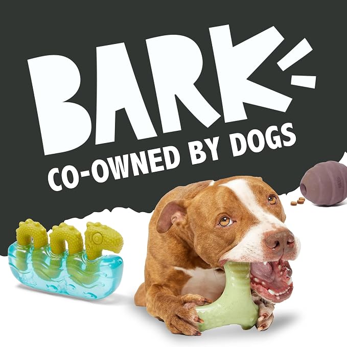 BarkBox Super Chewer Tough Dog Chew Toys - Large | for Aggressive Chewers, Dental Stimulating T Bone