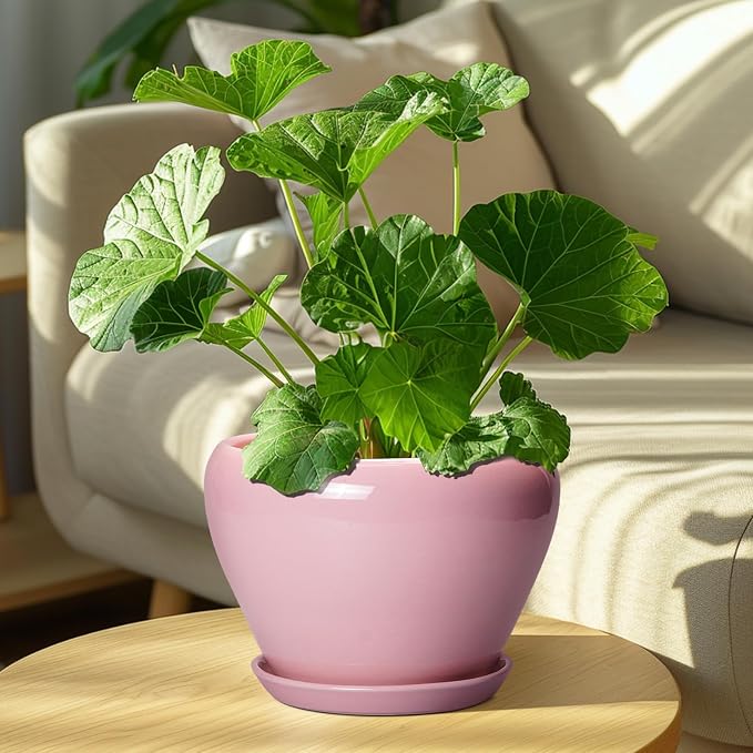 Ceramicfor Ceramic Modern Glaze Succulent Planter Pot with Drainage Hole and Saucer 8 Inch Round Flower Plant Pot for Indoor Outdoor Herb Snake Plants, Pink