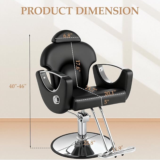 Black Salon Chair for Hair Stylist, Professional Barber Chairs Barbershop Hair Stylist Chair w/Heavy Duty Hydraulic Pump, 360° Braiding Styling Hairdresser Chairs for Spa Home Euipment, Sliver Black
