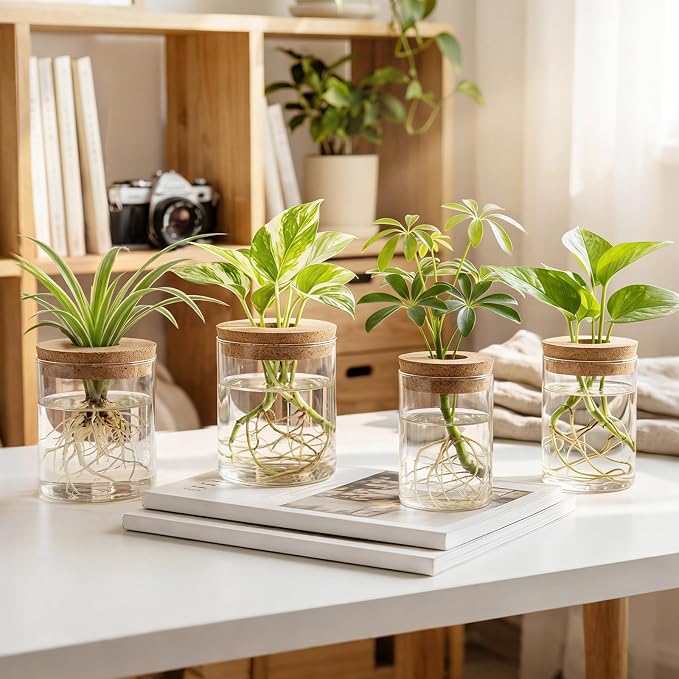 Dahey 4Pcs Glass Plant Propagation Station, 2 Large Vases & 2 Small Pots | Clear Root-View Water Jars, Cork Lids Cut Evaporation, Dust Proof & Soil-Free, Fits Hydroponic Cuttings, Desktop Indoor Decor