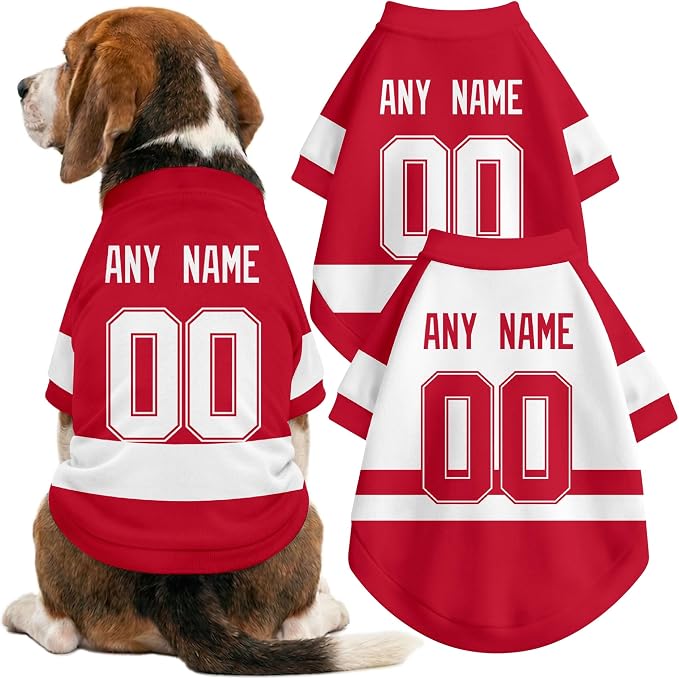 Detroit Dog Clothes Personalized Pet T Shirt for Dogs Gift | Custom Name Number Jersey Style Pet Shirt for Dog