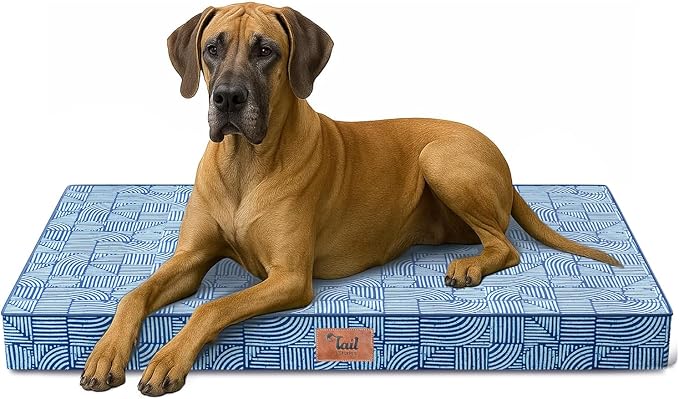 Jumbo Waterproof Orthopedic Dog Bed for Extra Large Dogs | Egg Crate Foam, Pressure Relief, Fits 54x37 Crates, Machine Washable 1680D Oxford Cover, Indoor & Outdoor Use, Up to 150 lbs