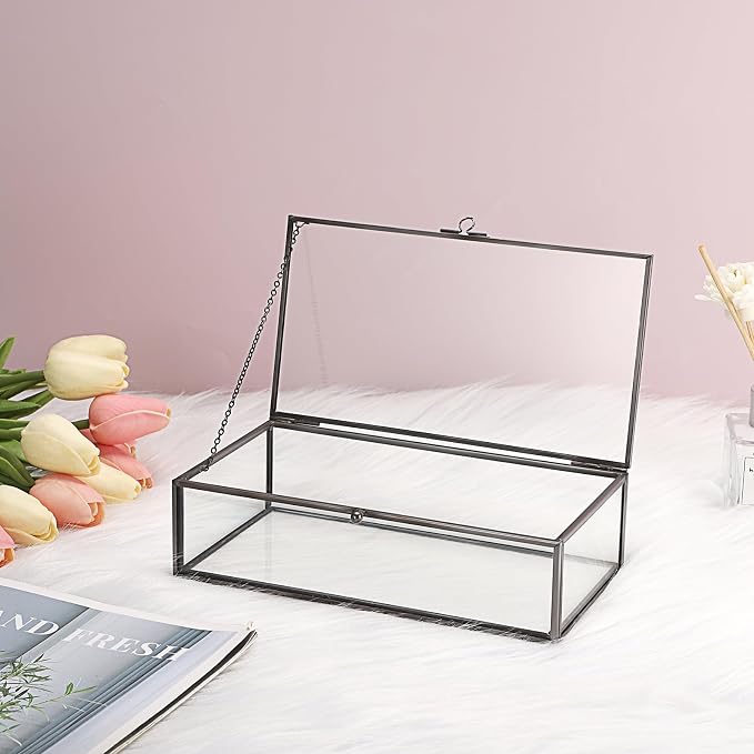 Hipiwe Glass Keepsakes Display Box with Lid - Decorative Black Glass Box | Clear Rectangle Storage for Trinket Perfume Cards Gift