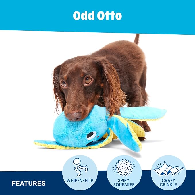 BarkBox Odd Odd Otto Plush Dog Toy - for Dogs