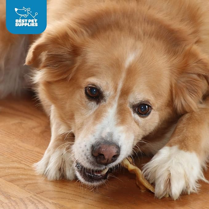 Best Pet Supplies GigaBite Slivers Pig Ears for Dogs - 1.8 lbs | Single Ingredient, All Natural, Supports Dental Health, Perfect for Training, Slow Roasted Chews