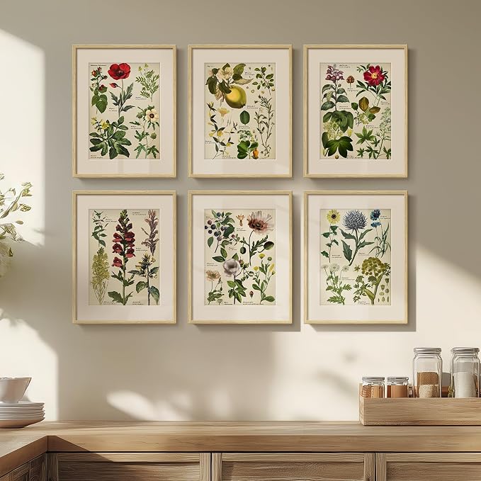 Framed Botanical Floral Wall Art for Kitchen, Set of 6 Green Painting Canvas Prints with Mat for Modern Farmhouse Wall Decor, Rustic Plant Flower Pictures for Living Room Bedroom Dining Room, 11x14
