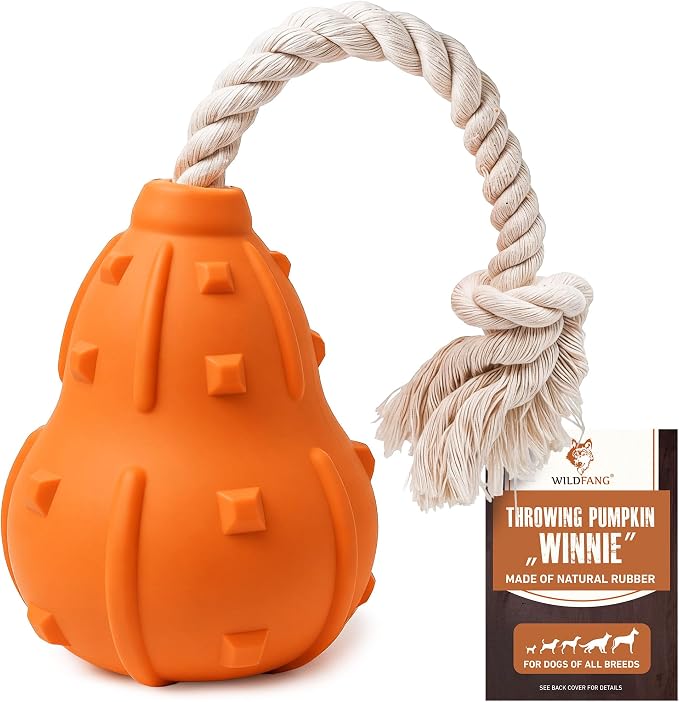Wildfang® Rubber Dog Toys for Aggressive Chewers, Winnie - Natural Rubber Dog Toy Throw Pumpkin, Supports Dental Health, Teething, Outdoor & Indoor Play Dog Toy for All Breeds