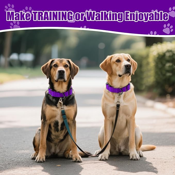 Martingale Dog Collar, Reflective No Pull with Buckle,Purple, XS