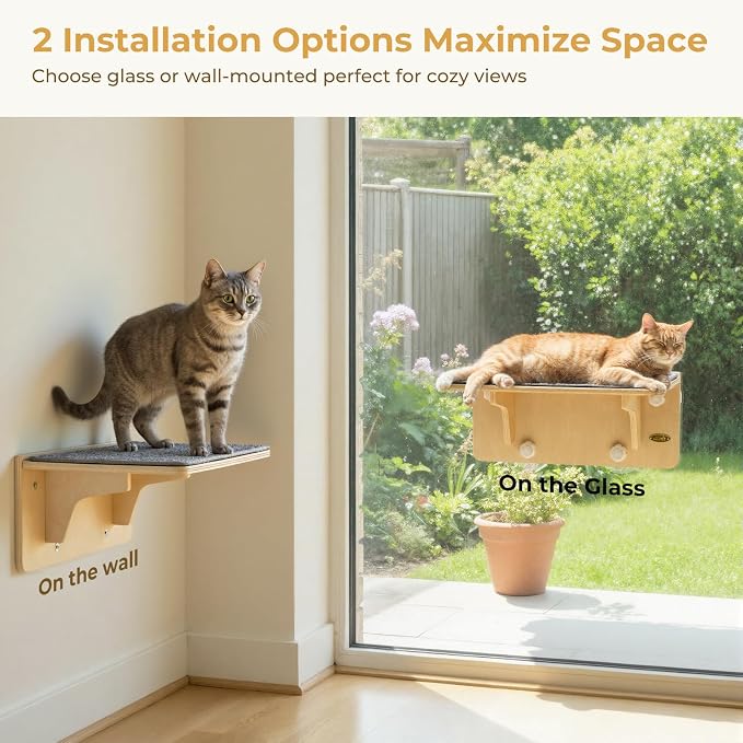 Pecute 2-in-1 Cat Window Perch & Wall Shelves, Cat Hammock Window 16"x10" | Solid Wood Frame, Strong Suction Cups, Washable Cover Mat, Window Bed for Kitten, Indoor Cats, Window Seat for Birds Watching
