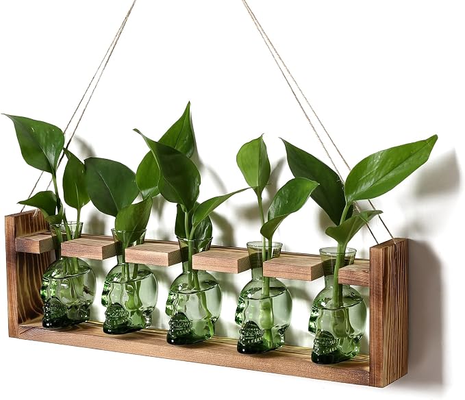 Plant Terrarium Propagation Stations Halloween Skull Planter Vase Skulls | decor With Wooden Stand Gife for Father - 5 Vases