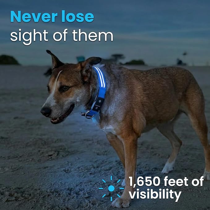 Tractive Smart Dog GPS Collar | Live Pet Tracker with Virtual Fence | Vital Signs Monitoring of Heart & Respiratory Rate | Bark Monitoring | LED Dog Collar (Blue, Large)