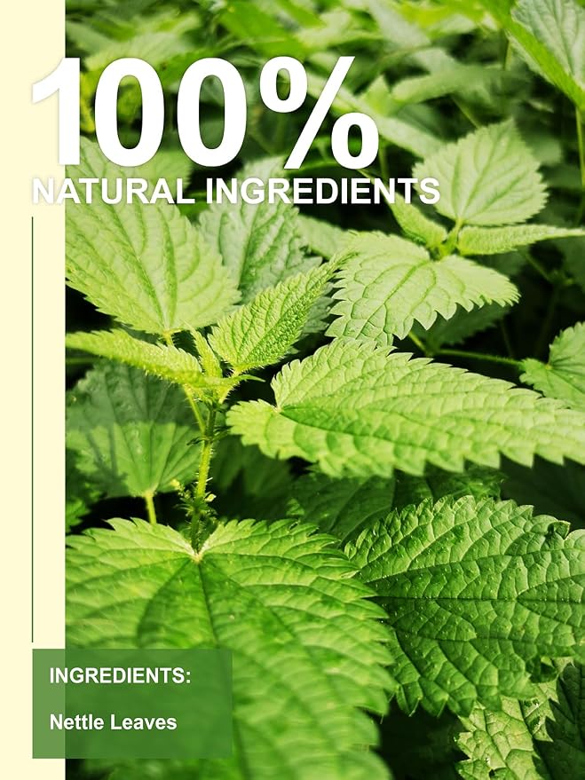 TeeLux Nettle Leaf Tea, Natural Stinging Nettle Tea Loose Leaf, Caffeine Free, Refreshing & Smooth taste, 8oz