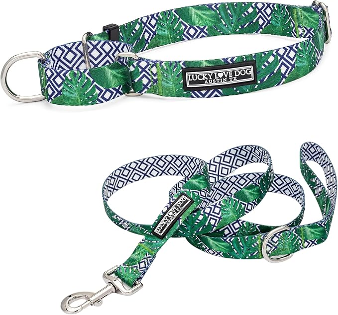 Lucky Love Dog Martingale Collar & Leash Set No Slip – Blue Laguna, Small