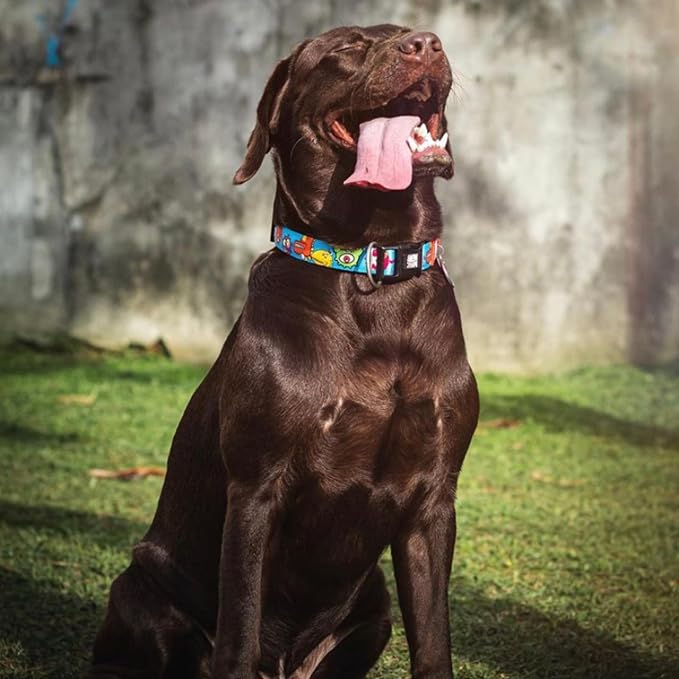 Max & Molly Smart ID Dog Collar with Gotcha! QR Safety Tag and Custom Pet Profile, Soft Padded Neoprene, Waterproof, Monsters, Large (15-25")