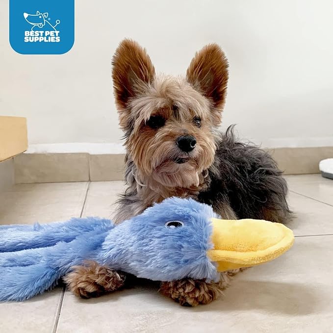 Best Pet Supplies 2-in-1 Stuffless Squeaky Dog Toy - 2 Crinkle Ducks, Large
