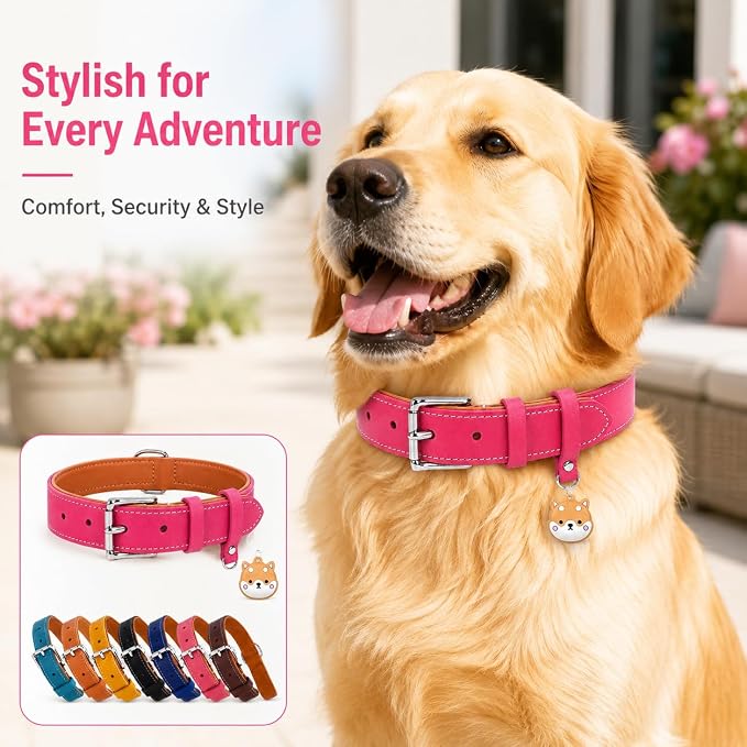 Genuine Leather Dog Collar, Soft Padded Leather Dog Collars with Airtag Holder Case for Small Medium Large X-Large Dogs,Comfort Heavy Duty Pet Collar with Durable Metal Buckle & D-Ring-Pink/M