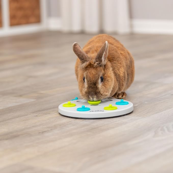 Trixie Rabbit Snack Board, Interactive Toy, Small Animal Puzzle, Mental Stimulation, Rabbit, Ferret, Bunny, Chinchilla