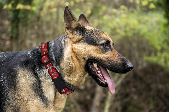 Pets First NHL Collar for Dogs & Cats. Adjustable, Cute, & Stylish! The Ultimate Hockey Fan Collar!