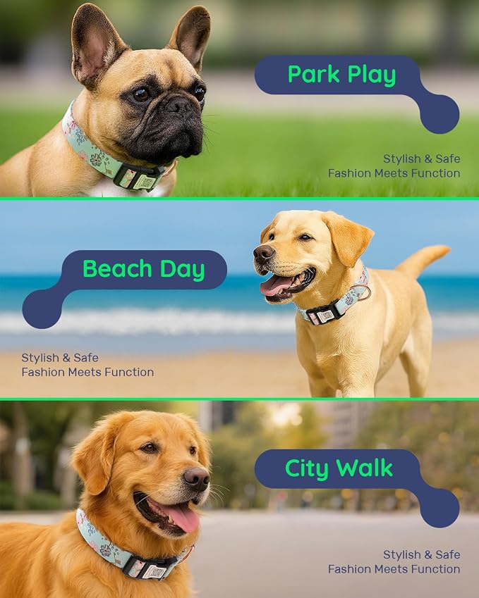 Dog Collar for Large Dogs with Smart QR Tags