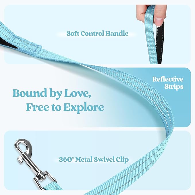 rabbitgoo Dog Harness Small Sized and Leash Set, Step-in Puppy Pet Vest | Light, Soft, Breathable Air Mesh, Easy on and Remove with Hook & Loop, Secure Reflective for Walking, Mint Blue S