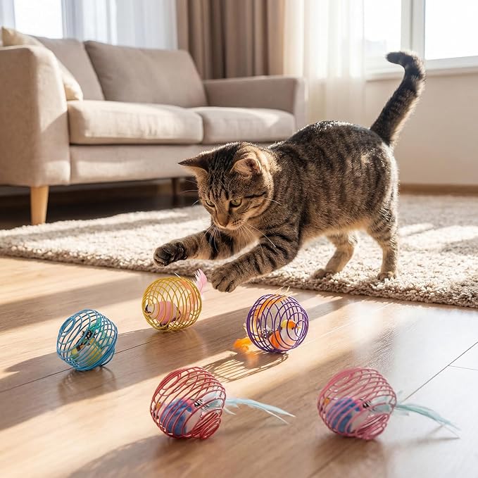 Jecery 5 Pcs Cat Toys Spring,Bird,Multicolor