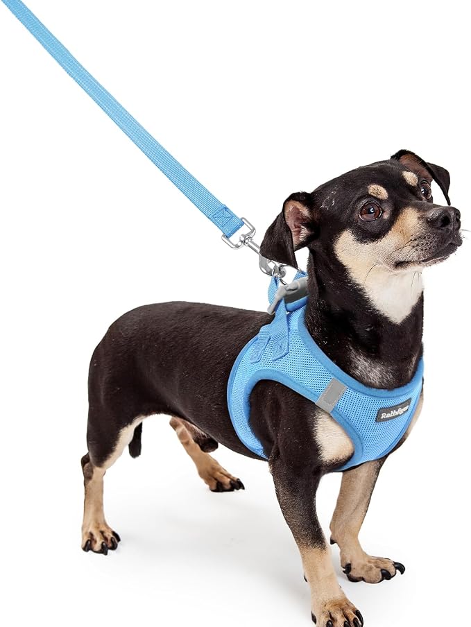 rabbitgoo Dog Harness Small Sized and Leash Set, Step-in Puppy Pet Vest | Light, Soft, Breathable Air Mesh, Easy on and Remove with Hook & Loop, Secure Reflective for Walking, Blue XXXS