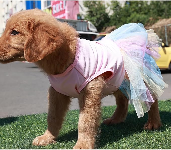 ANIAC Elegant Small Dog Dress Rainbow Dog Tulle Tutu Skirt Stretchy Girl Puppy Princess Dress Holiday Cat outfit Spring Summer Pet Clothes For Cat Puppies Yorkie Bichon Yorkie Chihuahua(X-Small, Pink)