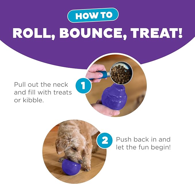 Outward Hound Lil' Snoop Interactive Treat Dispensing Dog Toy, Purple, 3.9" | Rolls & Bounces, Treat Stuffer, Puzzle Ball & Slow Feeder, Mint Scented, Easy Clean, No BPA, Enrichment, Small to Medium Dogs