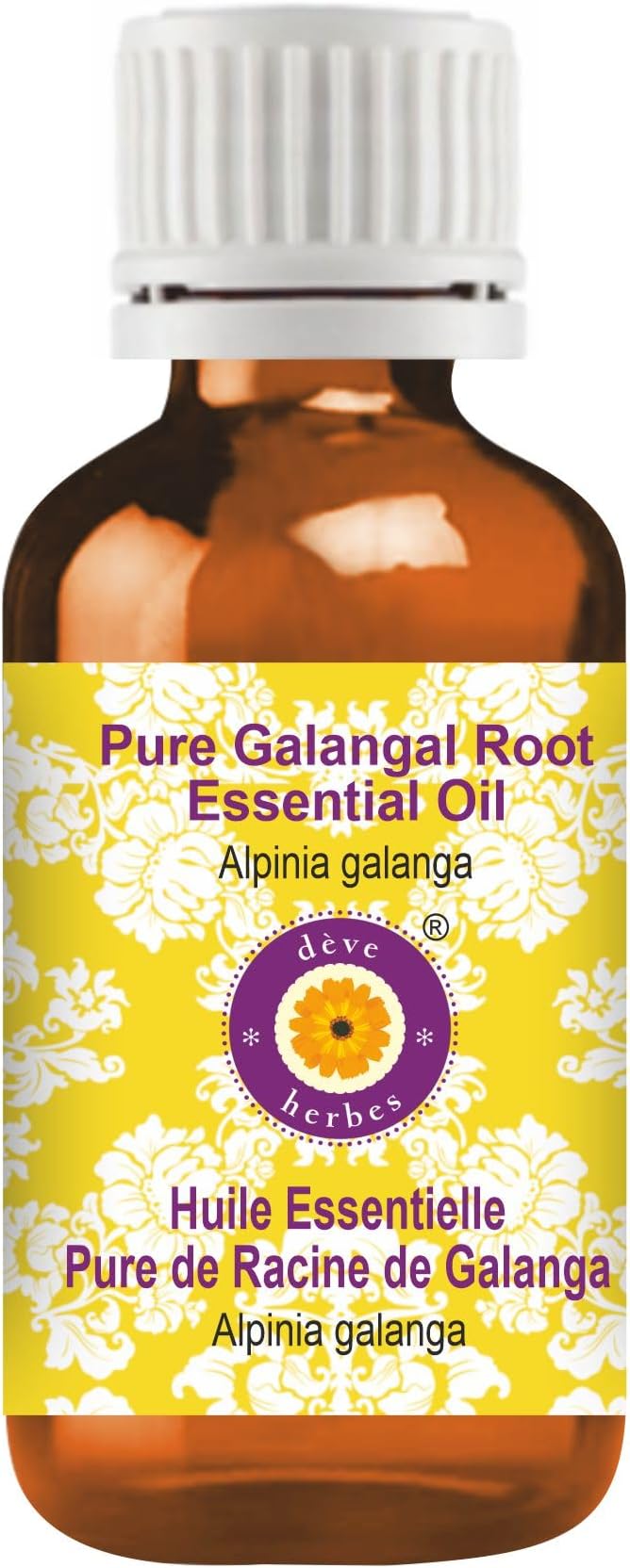 Deve Herbes Pure Galangal Root Essential Oil (Alpinia Galanga) Steam Distilled 100ml (3.38 oz)