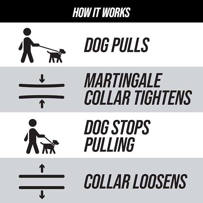 Leash Boss Martingale Collar for Dogs | Reflective Nylon Dog Collar for Large Dogs, Medium and Small Dogs | No Pull Pet Training Collar | Quick Release Buckle, Adjustable Pet Collar