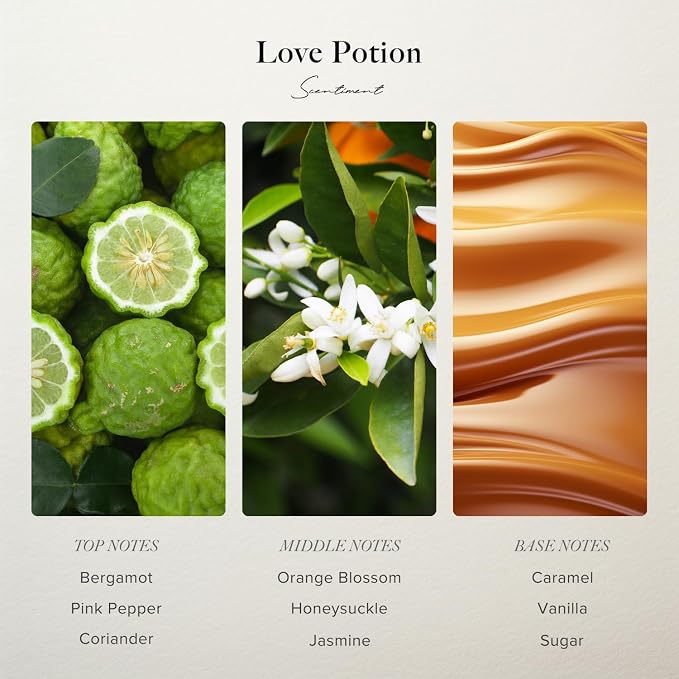 Scentiment - Love Potion Eau De Parfum - Designer Inspired Fragrance for Women (50 ml / 1.69 Fl Oz)