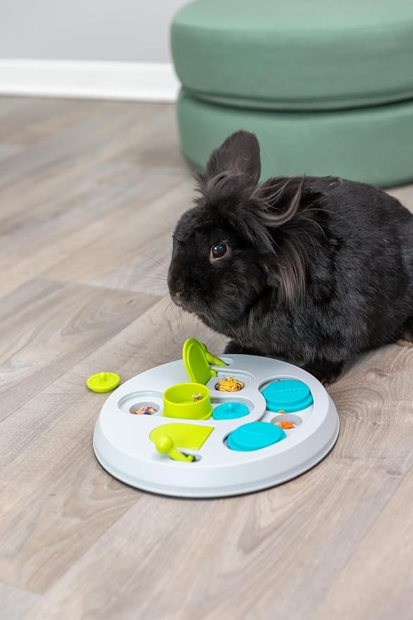TRIXIE Hide N Slide Rabbit Activity - Small Animal Interactive Toy for Mental Stimulation, Enrichment, Hide and Seek, Brain Teaser, Enhances Cognitive Development