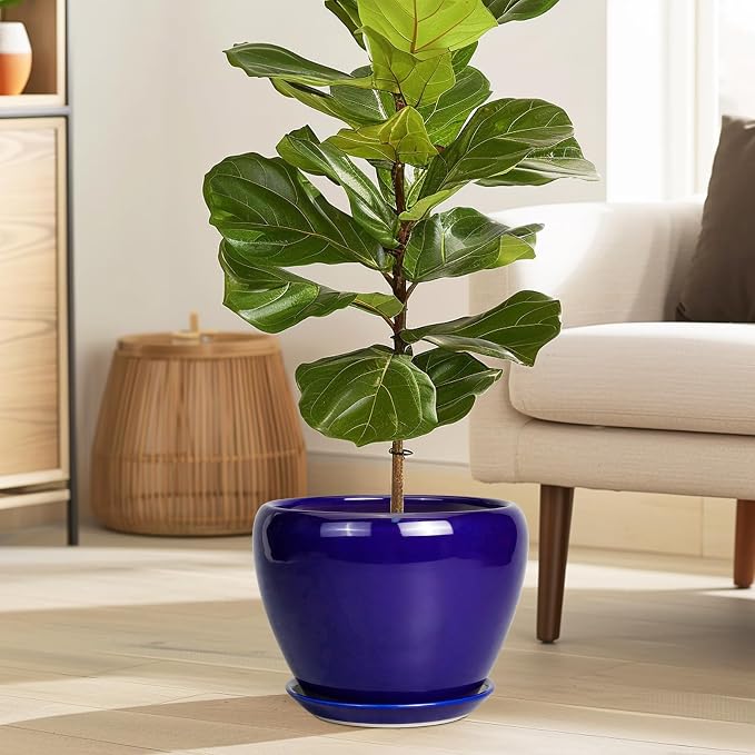 Ceramicfor Ceramic Plant Pot 8 Inch - Planter for Outdoor Plants Indoor Plant Pot with Drainage Hole and Saucer Decorative Round Planter Modern Flower Pot for House Decor Blue
