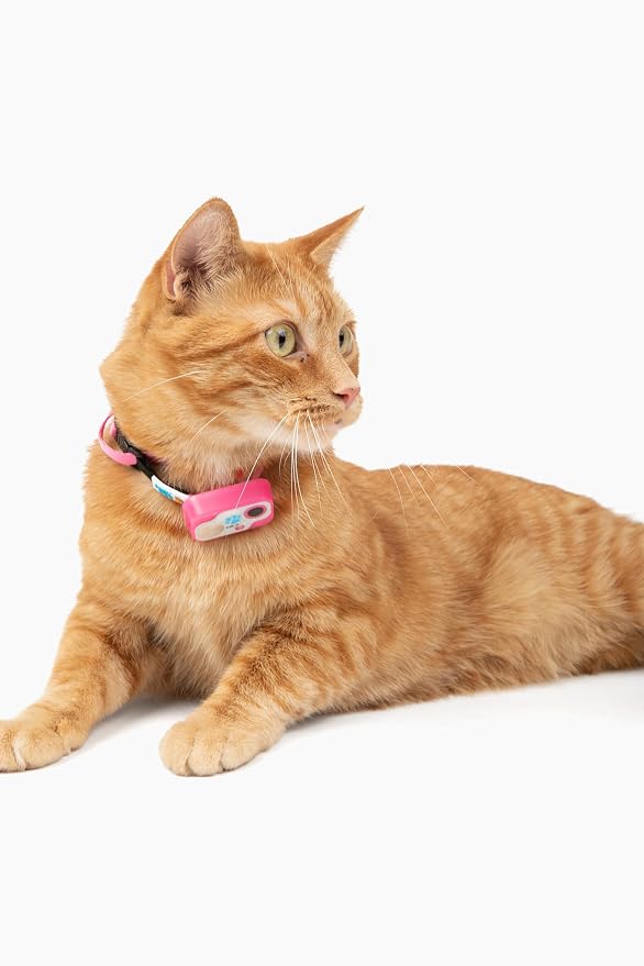 Genuine MS-5® Designer Cat Collar for Automatic Pet Doors. Tested & Certified by High Tech Pet. Proven Reliable. Complies with Power Pet Door Performance Warranty, Waterproof (Pink, CAT)