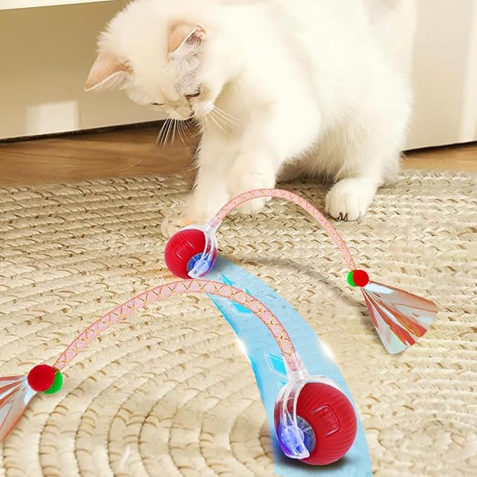 Upgrade 2pcs Innovative Interactive Cat Toy Balls, Automatic Moving Spheres for Cats (Dragonfly)