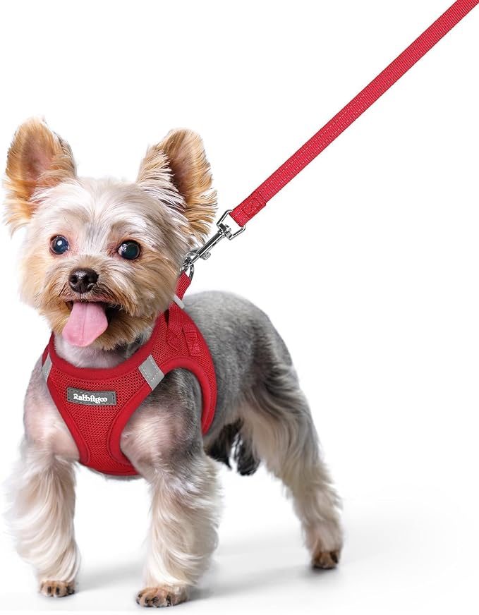 rabbitgoo Dog Harness Small Sized and Leash Set, Step-in Puppy Pet Vest | Light, Soft, Breathable Air Mesh, Easy on and Remove with Hook & Loop, Secure Reflective for Walking, Red XS