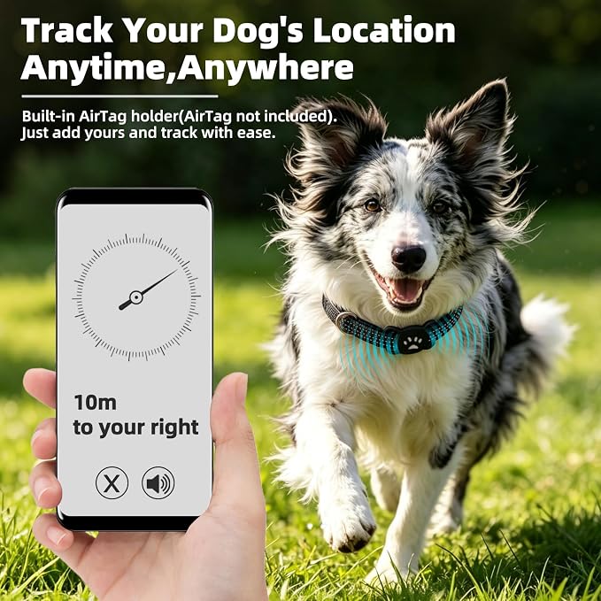 PUPTECK Airtag Dog Collar, Reflective with QR Code Buckle, Waterproof AirTag Holder Outdoor Tracking Pet Collars, Adjustable Soft Padded Durable for Small Medium Large Dogs Walking Training, Black M