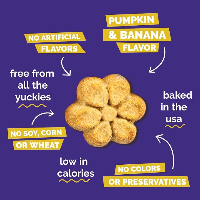 Fruitables Baked Dog Treats, Low Calorie Treats, Pumpkin & Banana, 7oz | Healthy Dog Treats, Training Treats, Crunchy Dog Biscuits, Limited Ingredient Recipe, Healthy Puppy Snacks, Made in USA