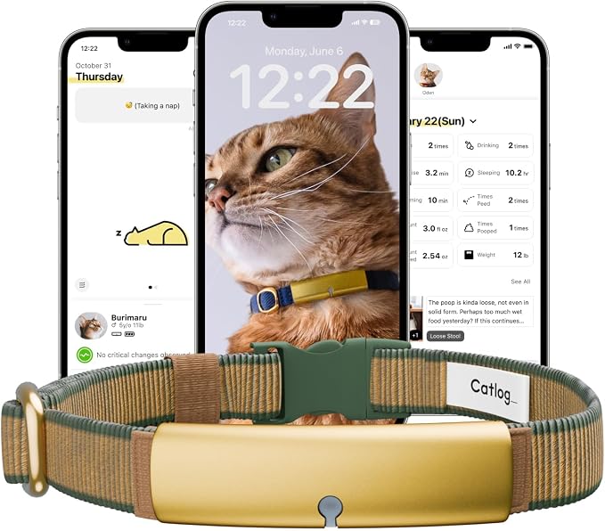 Health Tracker for Cats - Smart Cat Collar with Safety Breakaway Buckle for Indoor Cats, Wellness Alerts, Real-time Monitoring (Forest, XL)