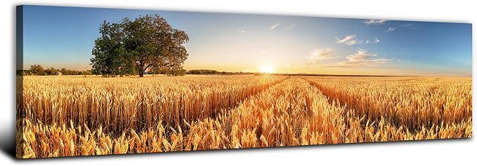 Sunset Nature Forest Wall Art Wheat Field Landscape Pictures Wall Decor for Living Room Kitchen Sunrise Country Meadow Scenic Painting Farmhouse Poster Panoramic Artwork Home Bedroom Decoration 14x48”