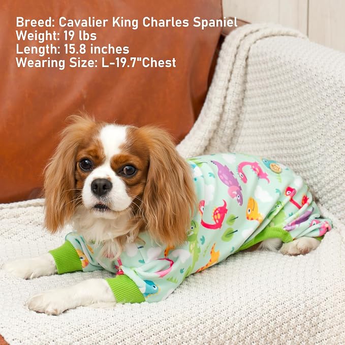KYEESE Velvet Dog Pajamas for Large Dogs Soft Onesie Shirt, Dinosaursk | 4-Way Stretch, Lightweight & Breathable, Reduces Shedding, Gentle on Sensitive Skin, Recovery Support, Easy Potty Breaks