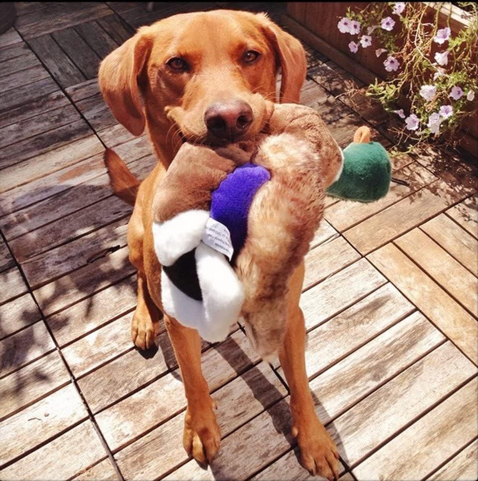 Fluff & Tuff Wally Mallard Pet Toy