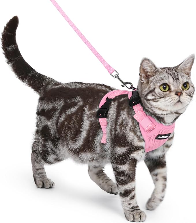 rabbitgoo Cat Harness and Leash, Easy-on with Neck Buckle, Pink