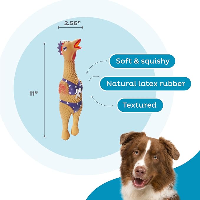Outward Hound Squawkers Squeaky Latex Dog Toy, Henrietta, 11"