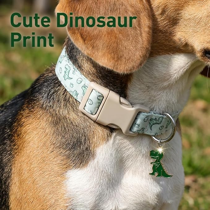 Dinosaur Dog Collar, Medium Dog Collar for Boy Girl Dog, M
