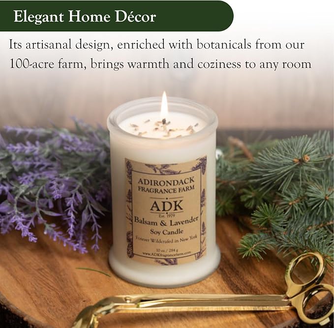Adirondack Fragrance & Flavor Farm Balsam & Lavender Scented Candle 20 Oz | Proudly Poured in The USA, Natural Aromatherapy Wax for Relaxation, Home Décor, Kitchen, Gift and Living Spaces