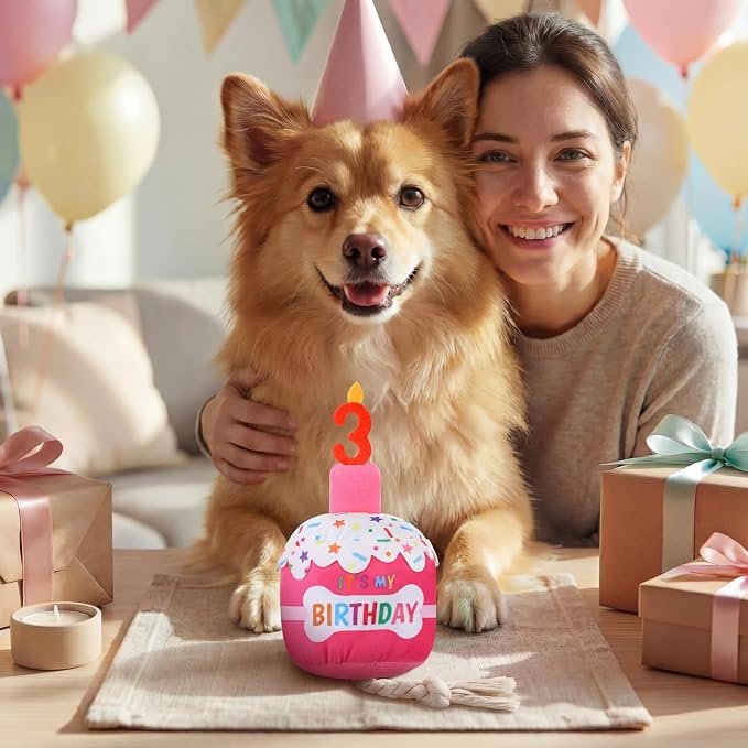 Dansydaisy Dog Birthday Cake Toy Squeaky Plush Gift,3rd,Rose Pink