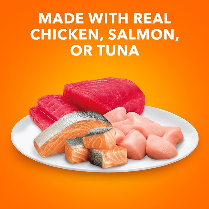 IAMS Perfect Portions Healthy Adult Wet Cat Food, Pate Variety, 24 Count | Grain-free, Chicken & Salmon recipes, Omega 6 & 3 for skin & coat, supports digestion, 2.6 oz. twin-pack trays