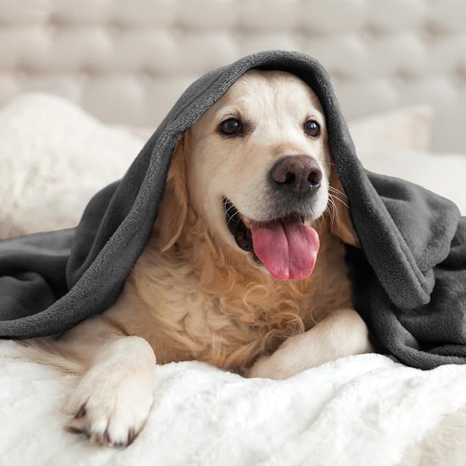BEDELITE Fleece Blanket Soft Plush Twin Size Blanket Charcoal Grey 60"x80" | Ultra Soft Fleece, Plush Microfiber, Lightweight Warmth, All Season Comfort, Fade Resistant, Machine Washable, Couch Sofa Bed
