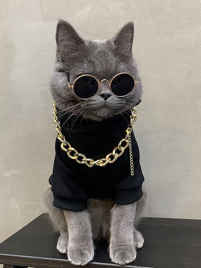 3Pcs Dog Hoodie Cat Apparel Dog Custume Set with Necklace and Sunglasses Pet Clothes for Puppy Small Medium Dogs Cats Multicolor XL